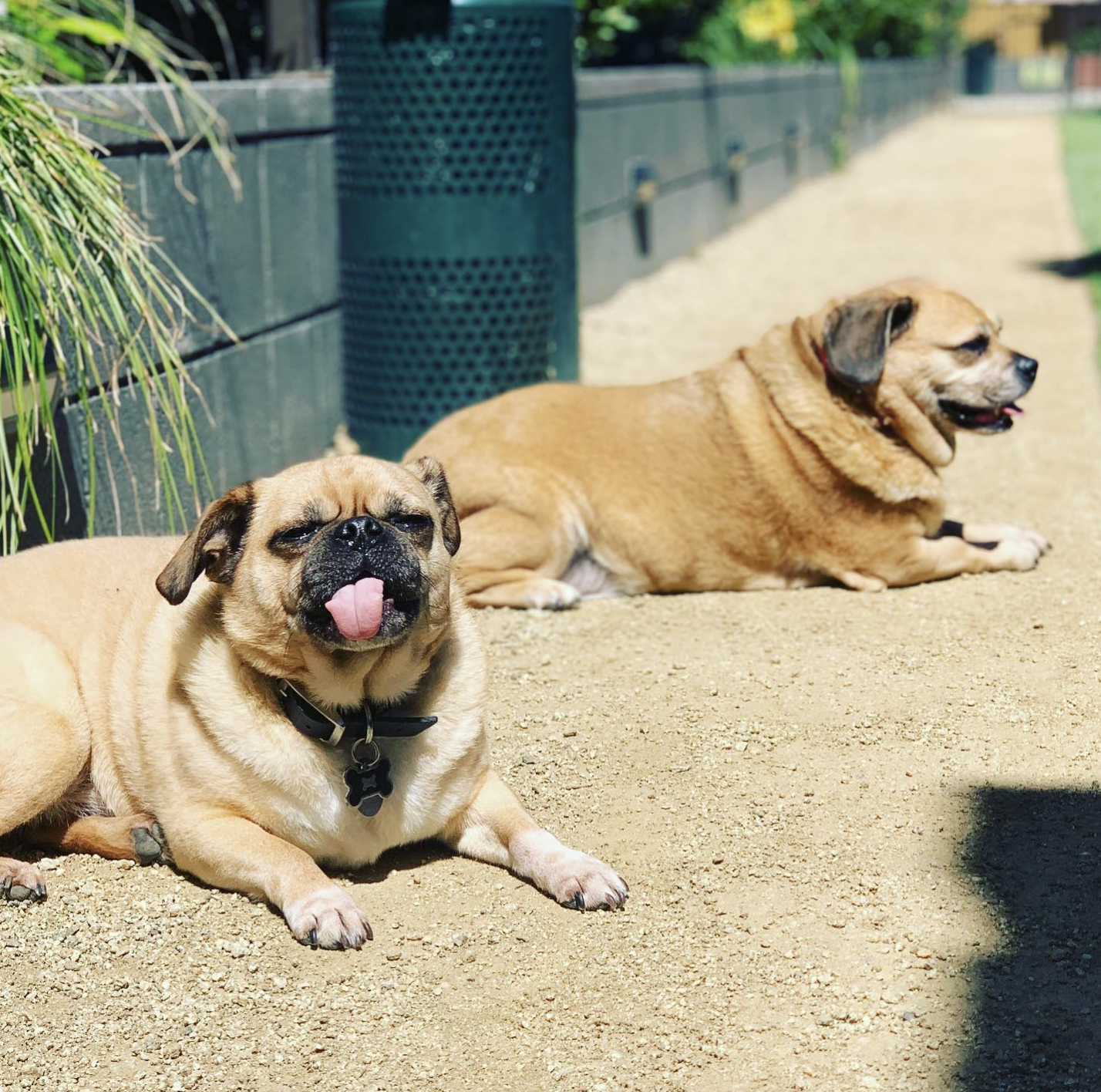 Screenshot 2024-08-13 at 11.27.44 PM.png