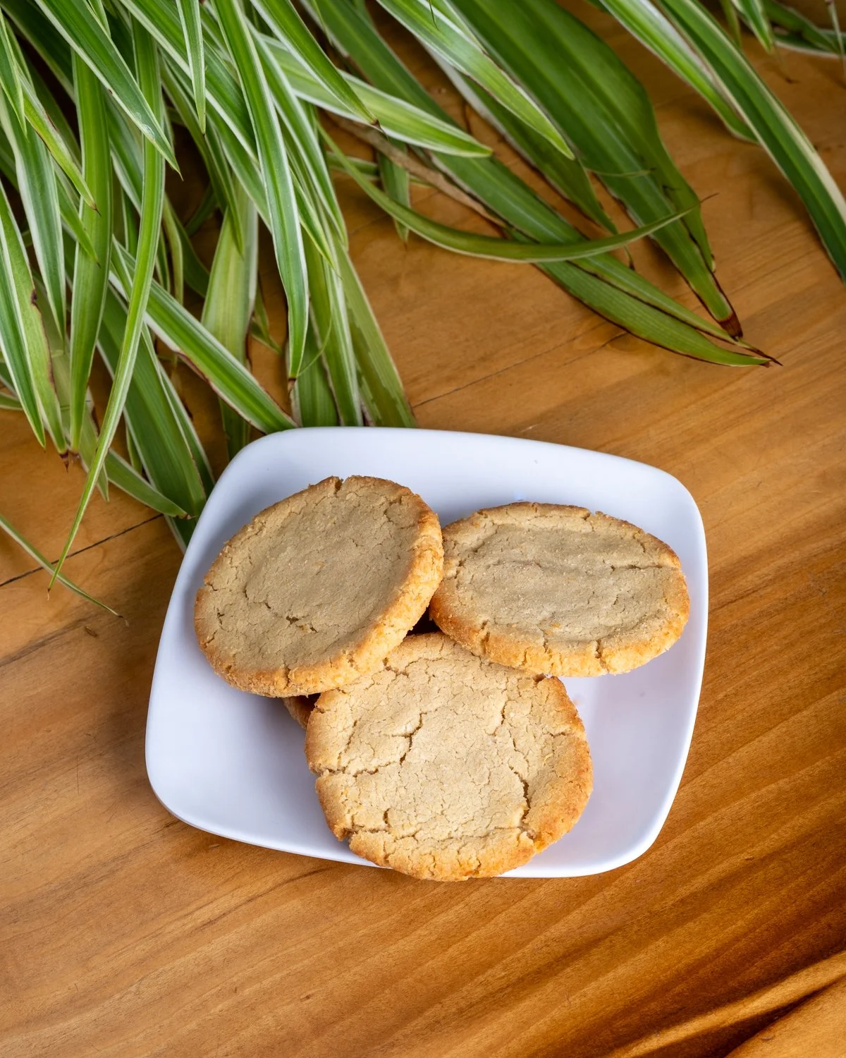 Coconut Shortbread Cookie