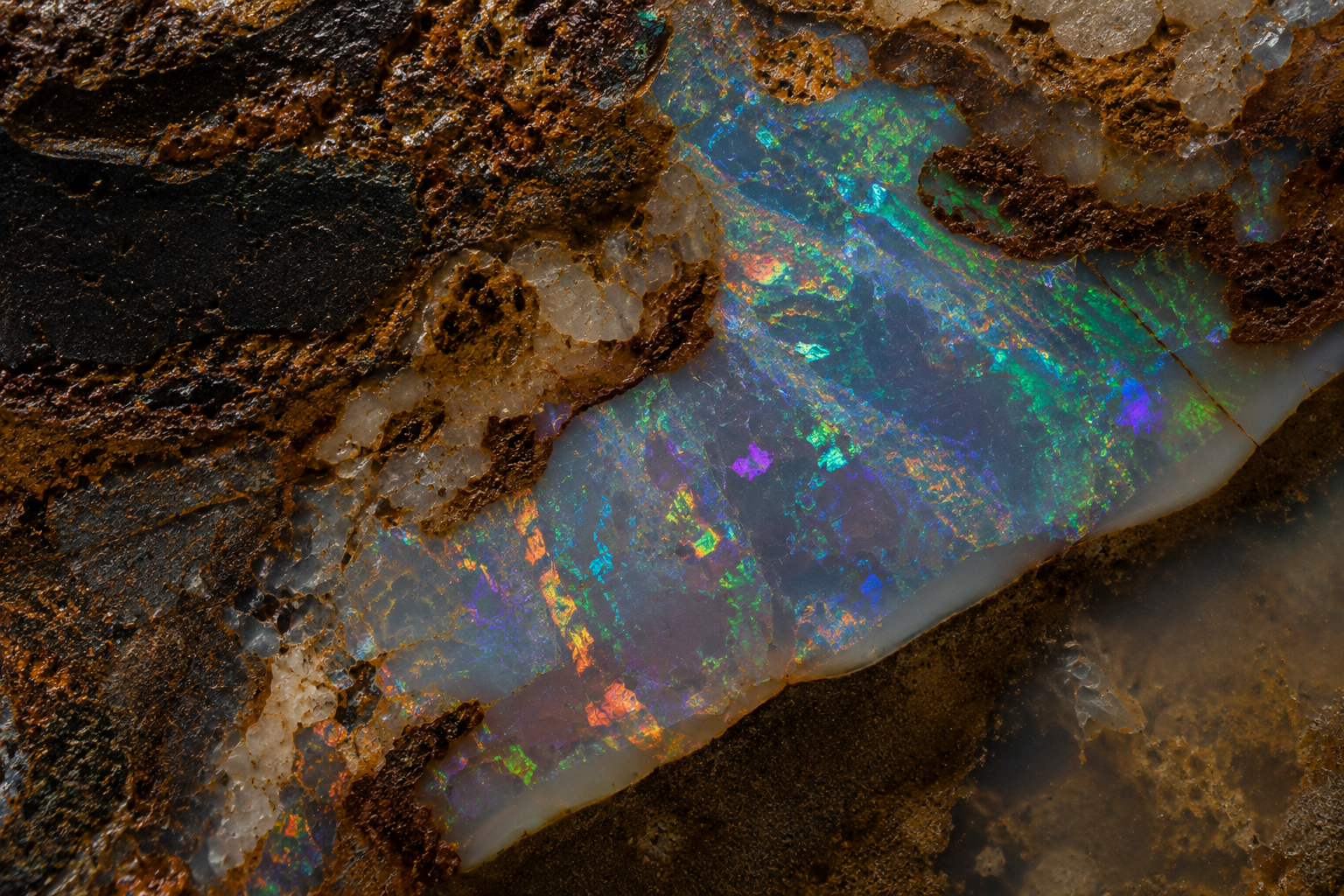 ChatGPT Image Jun 5, 2026 at 05_25_09 PM.png