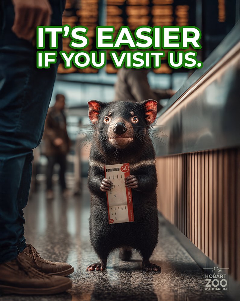 IG Post - Tassie Devil Airport.png