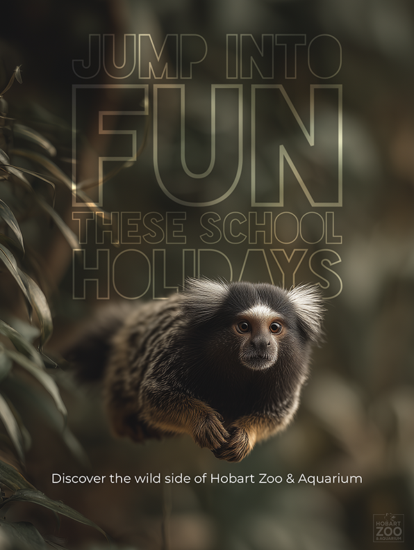 IG Post - Jump Into It.png