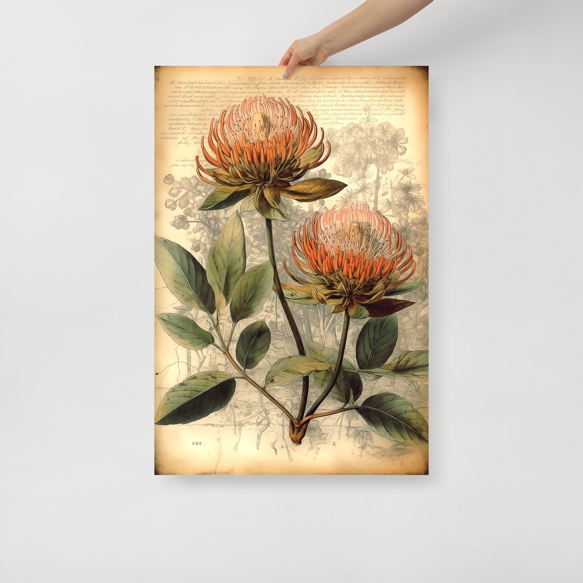 premium-luster-photo-paper-poster-(in)-24x36-front-66ffd14d18ddd.jpg