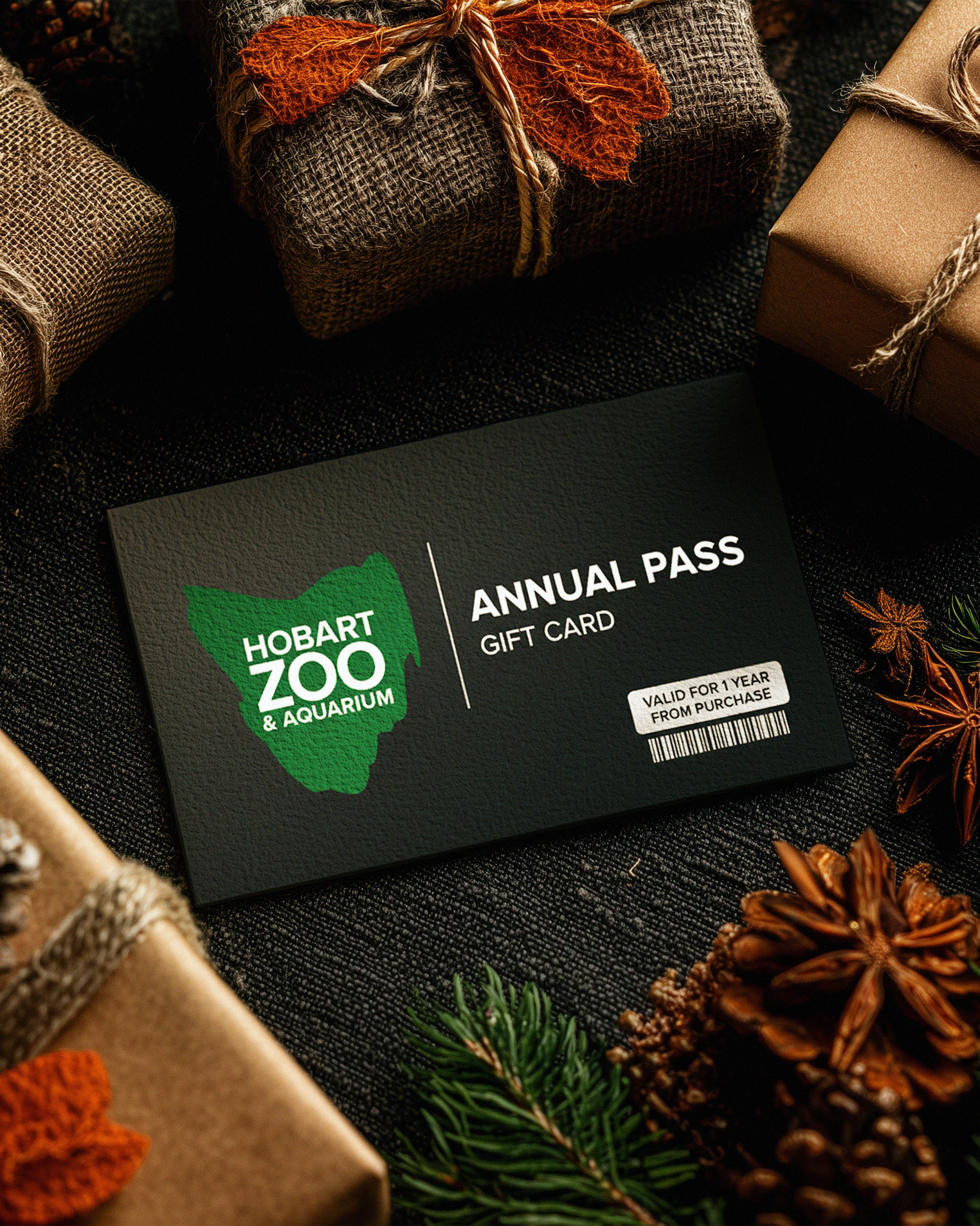 Static Post 5 - ANNUAL PASS GIFT CARD.png