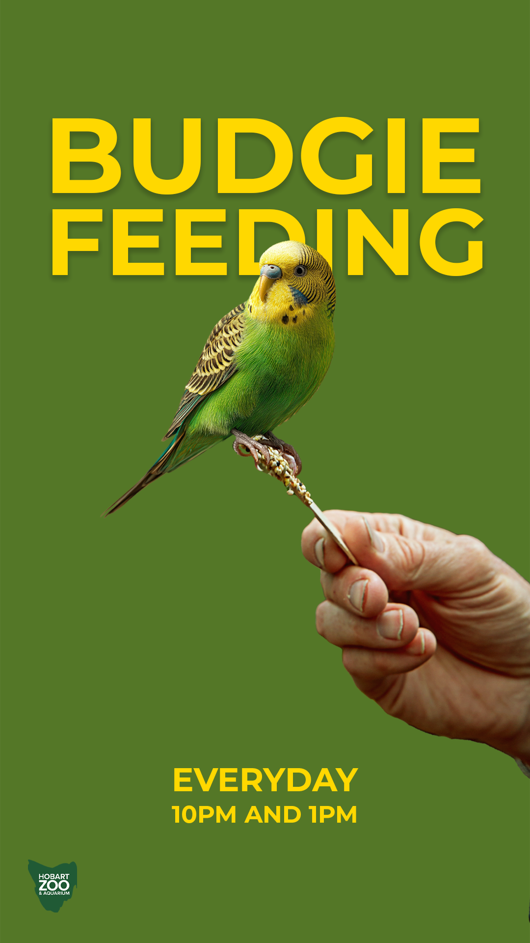 Story 6 - BUDGIE FEEDING - b.png