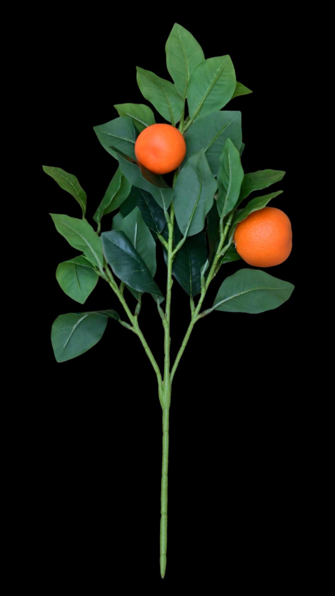 27.png