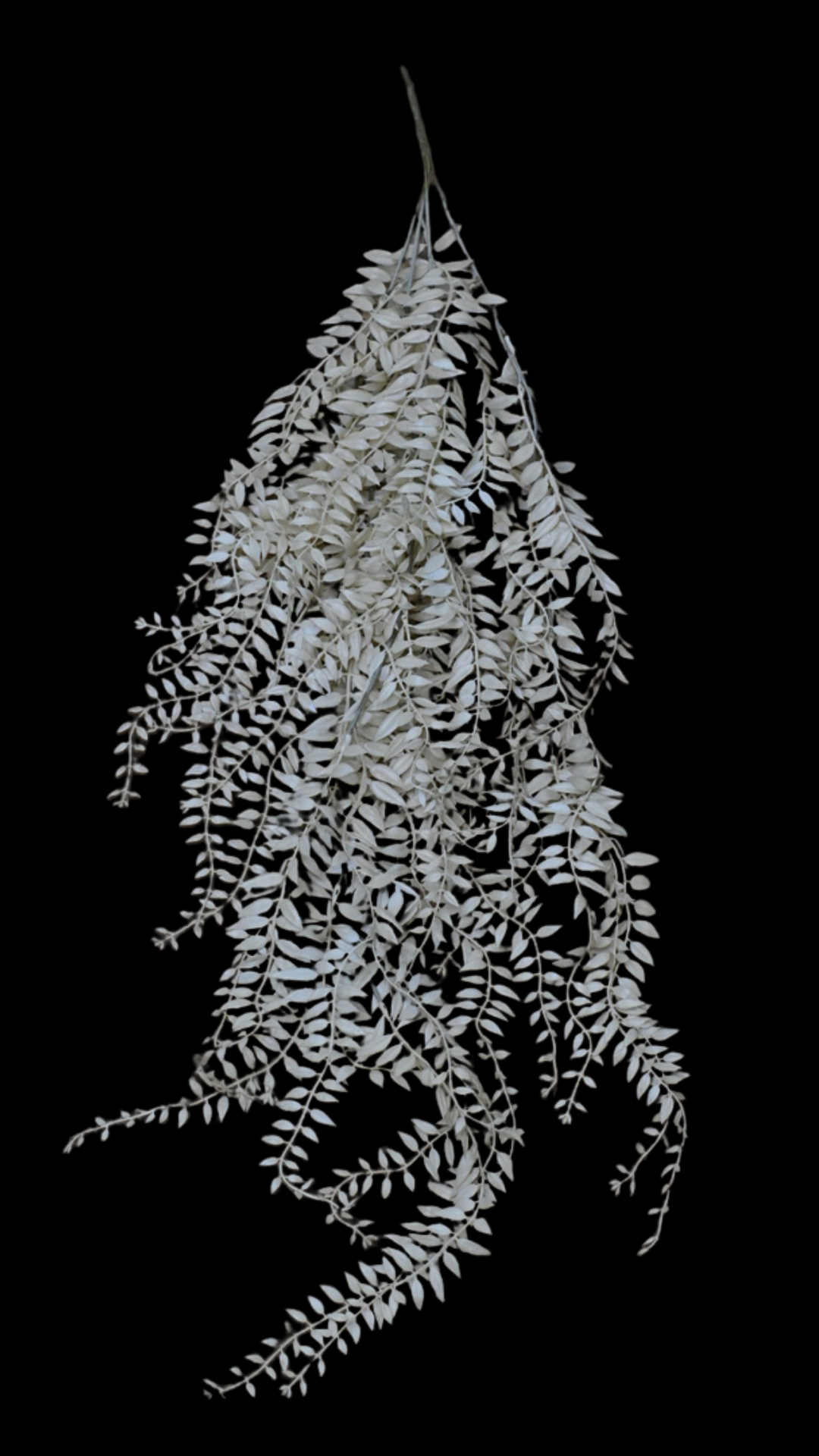 41.png