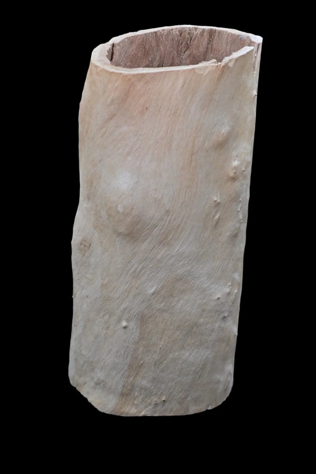 ISIMG-853929.JPG