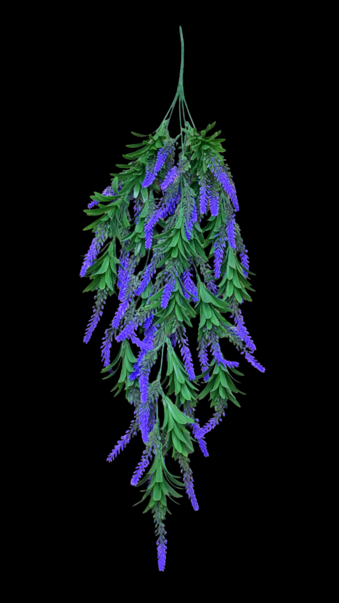 4.png
