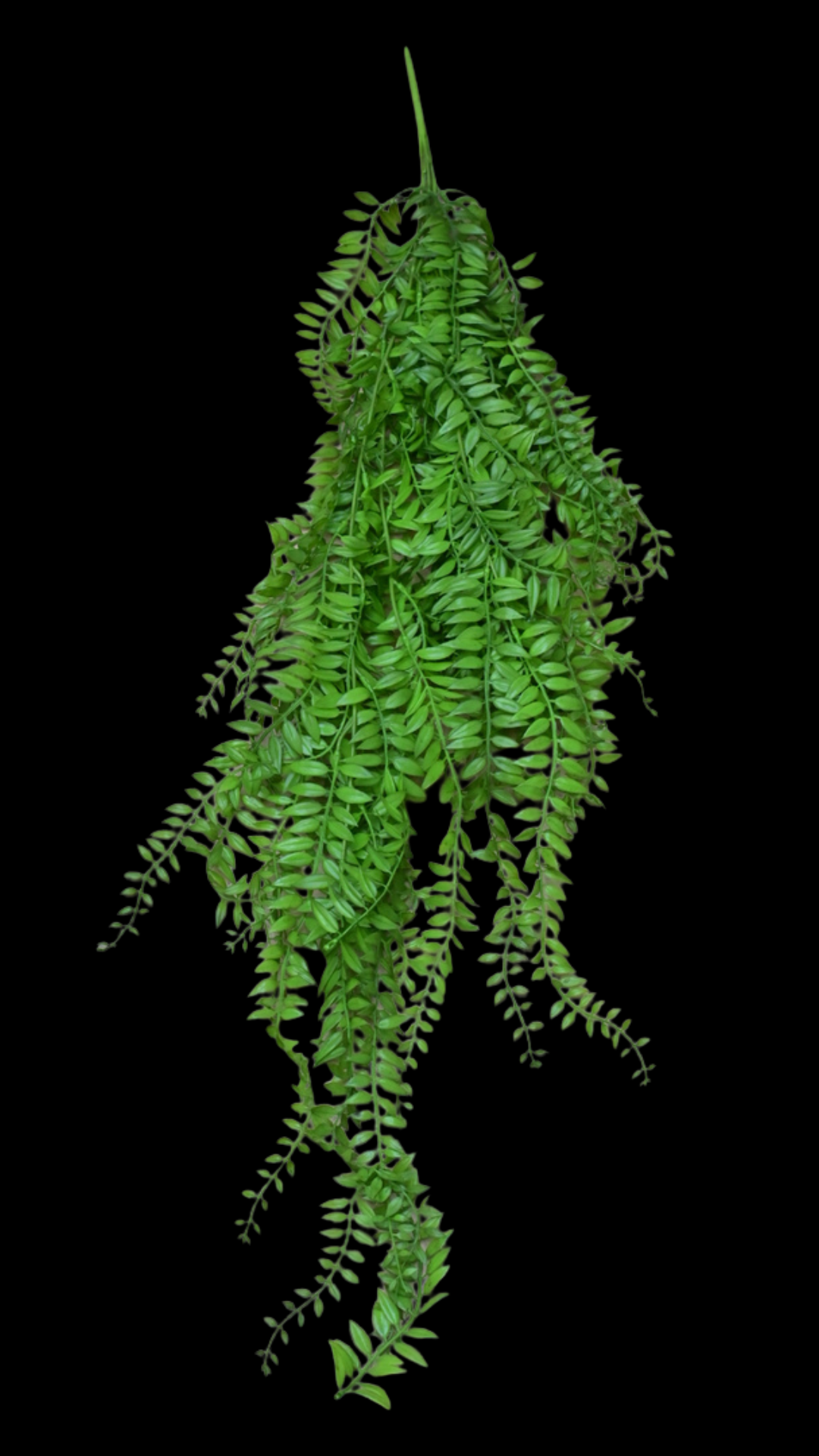 39.png