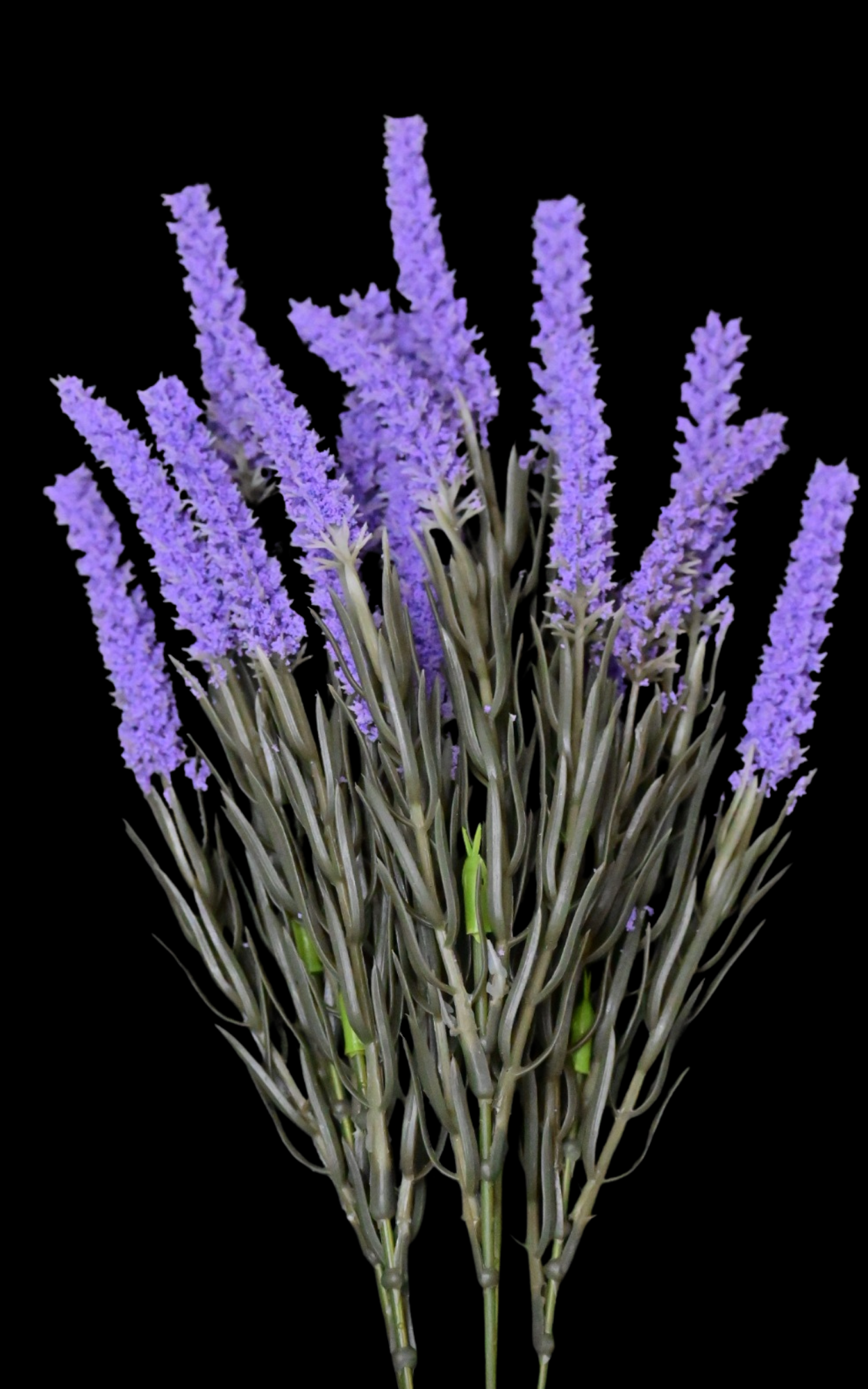 75.png