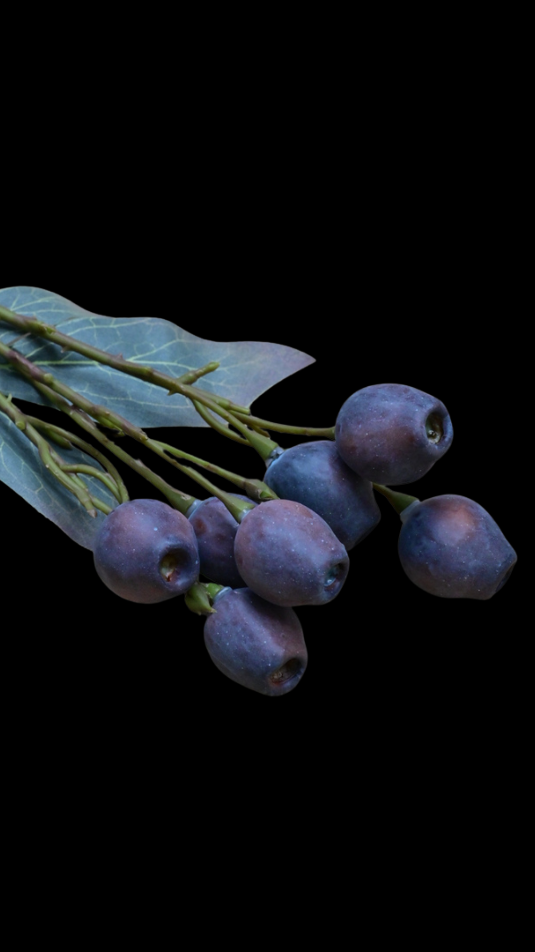 24.png