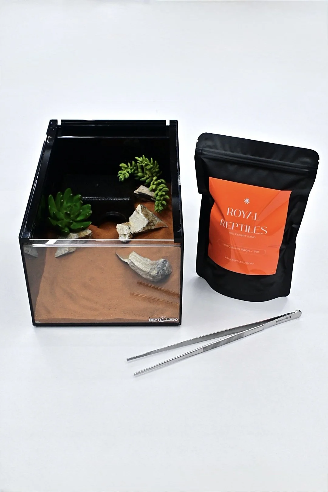 Knob-tail Gecko Starter Kit