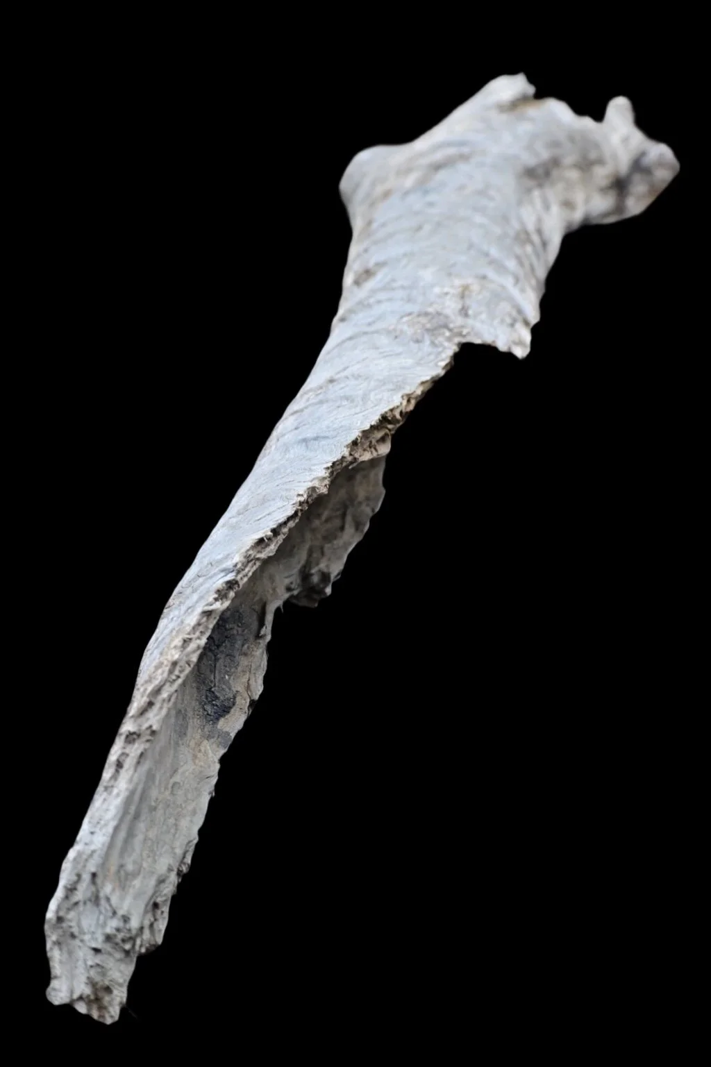 ISIMG-852759.JPG