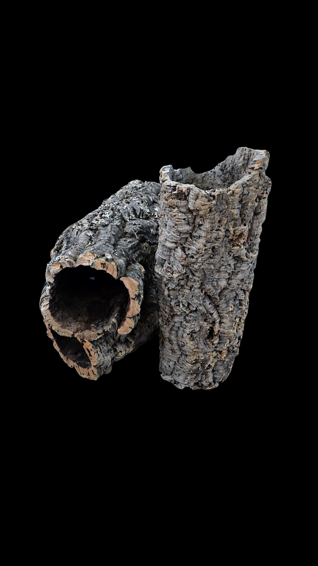 Jumbo - Natural Cork Bark Hollow Log