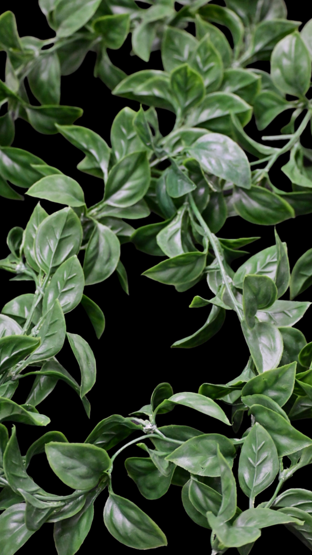 Water Wash Leaf Garland