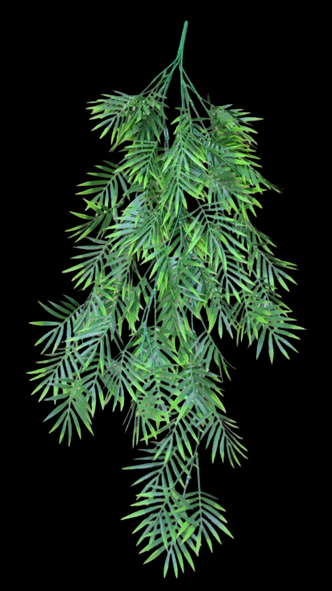 2.png
