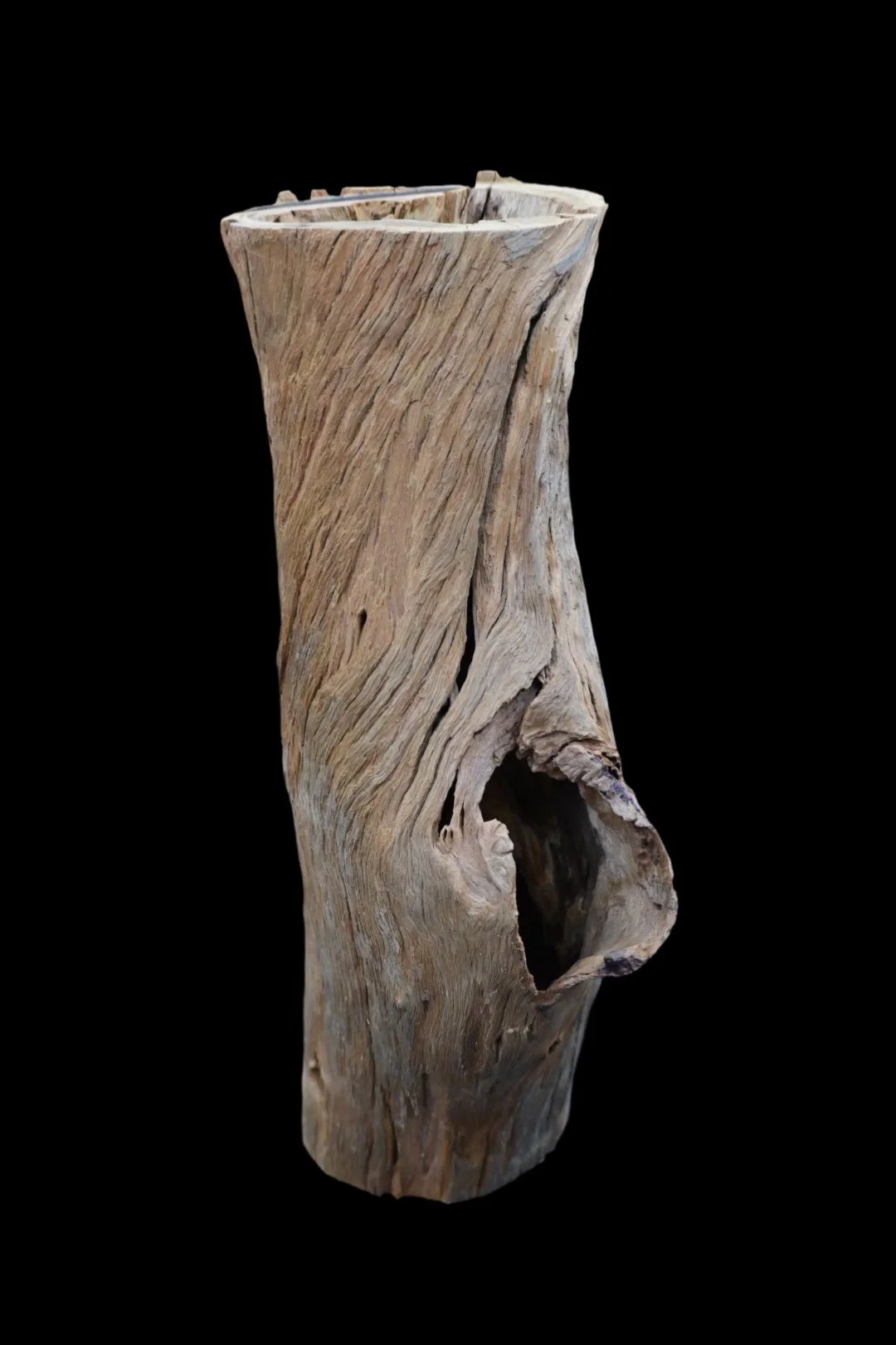 Small Hollow Log