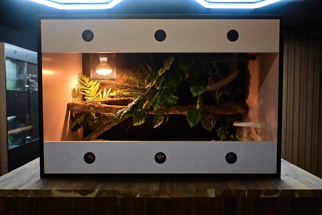 new tank photo.jpg