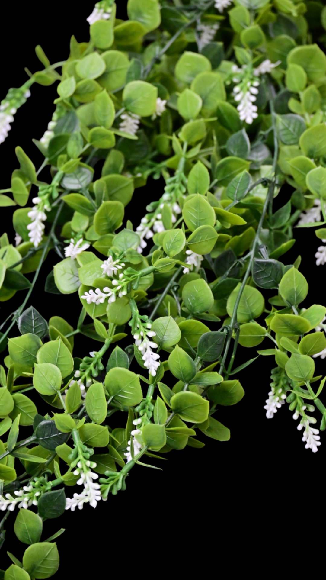 Hanging Lavender Bush