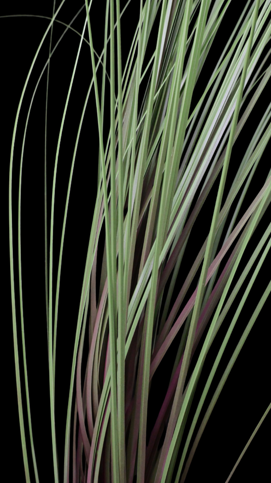 73.png