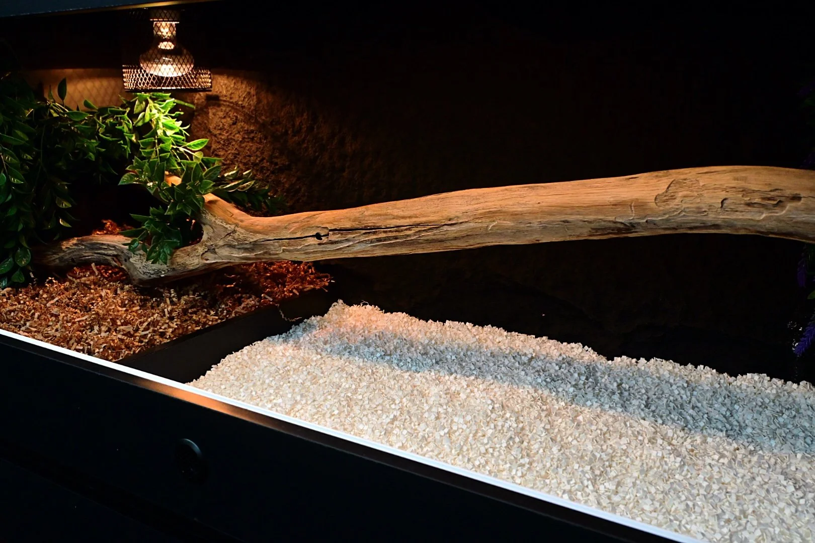 Complete Bedding & Enrichment Solution | ALPHA-dri & ENVIRO-dri ...