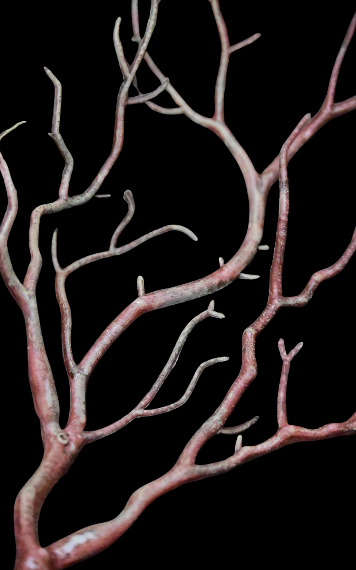 Desert Dunes Greenery - Bundle