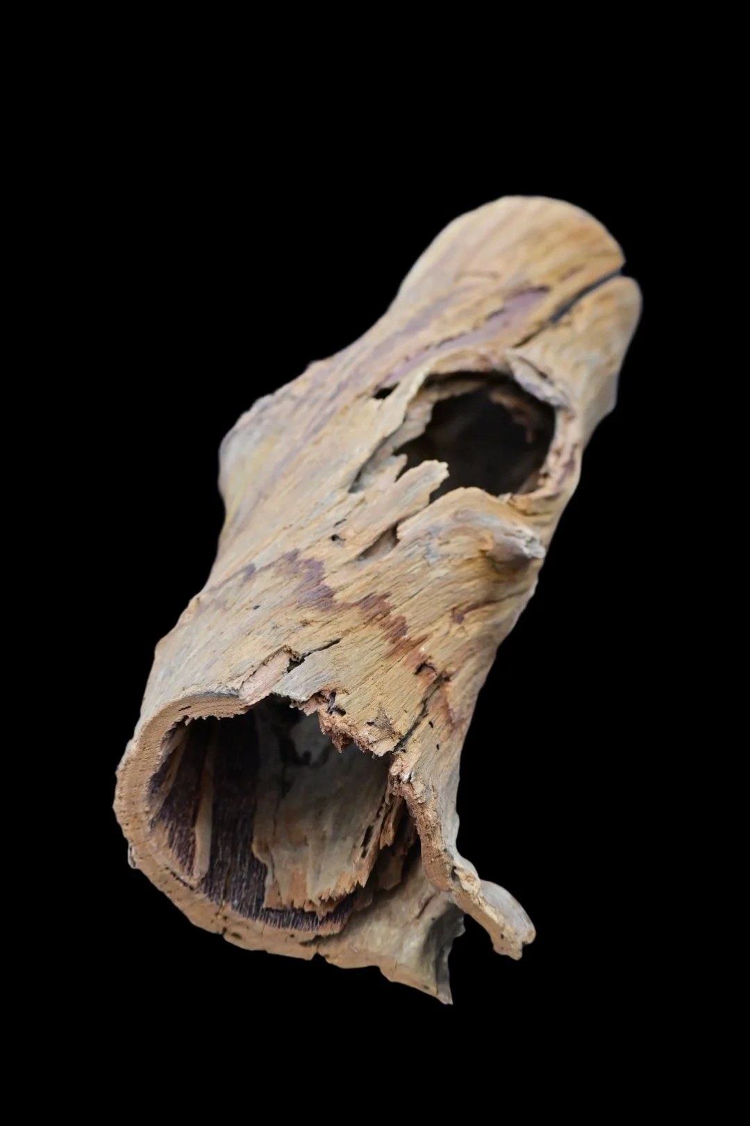 Medium Hollow Log