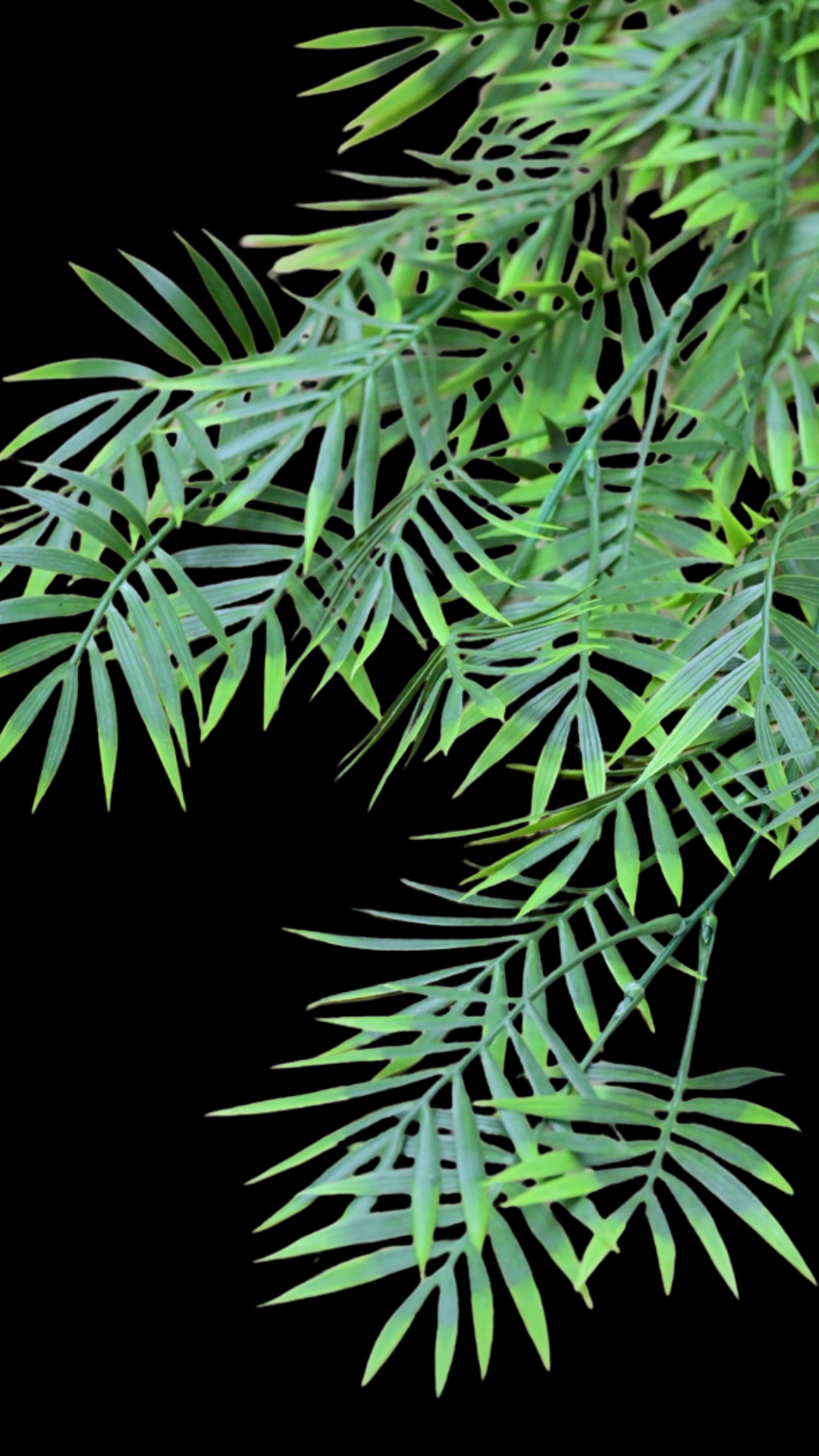 Palm Leaf Hanging Bush