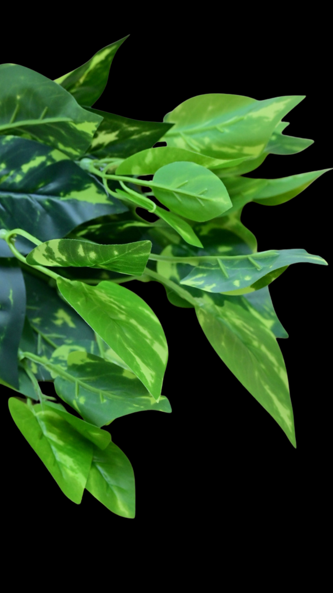 44.png