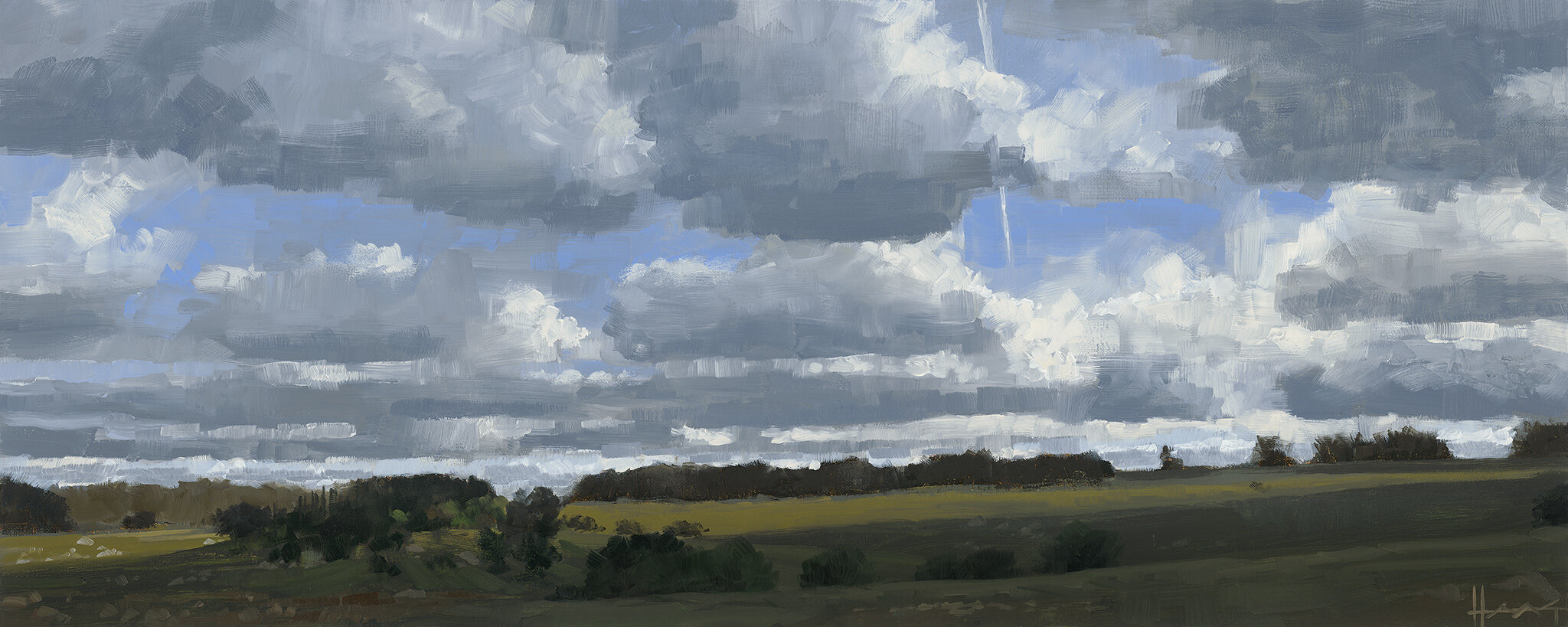 Contrail . 25" x 10" (63.5cm x 25.4cm)