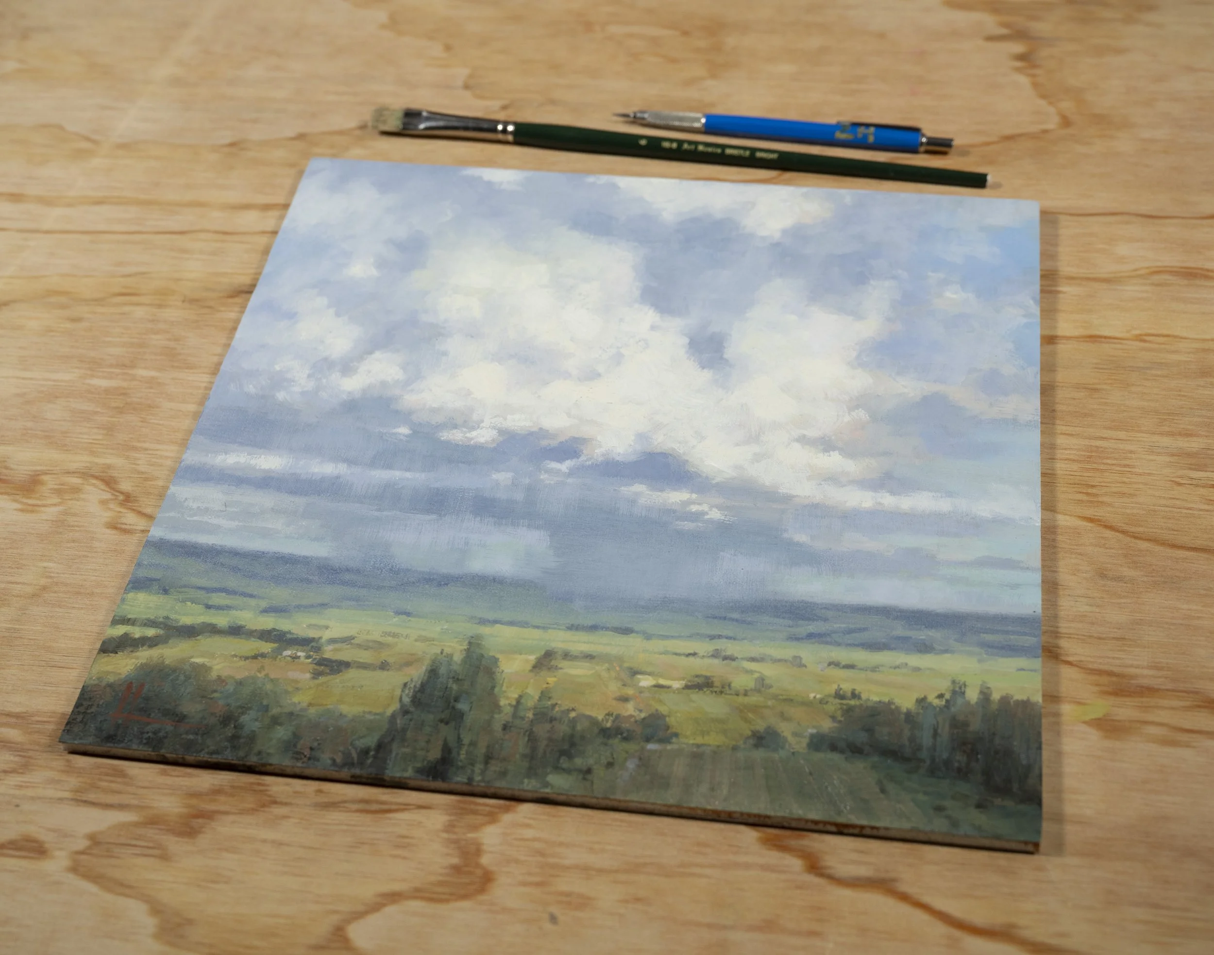 Wiseleigh_Sky_detail_01.jpg