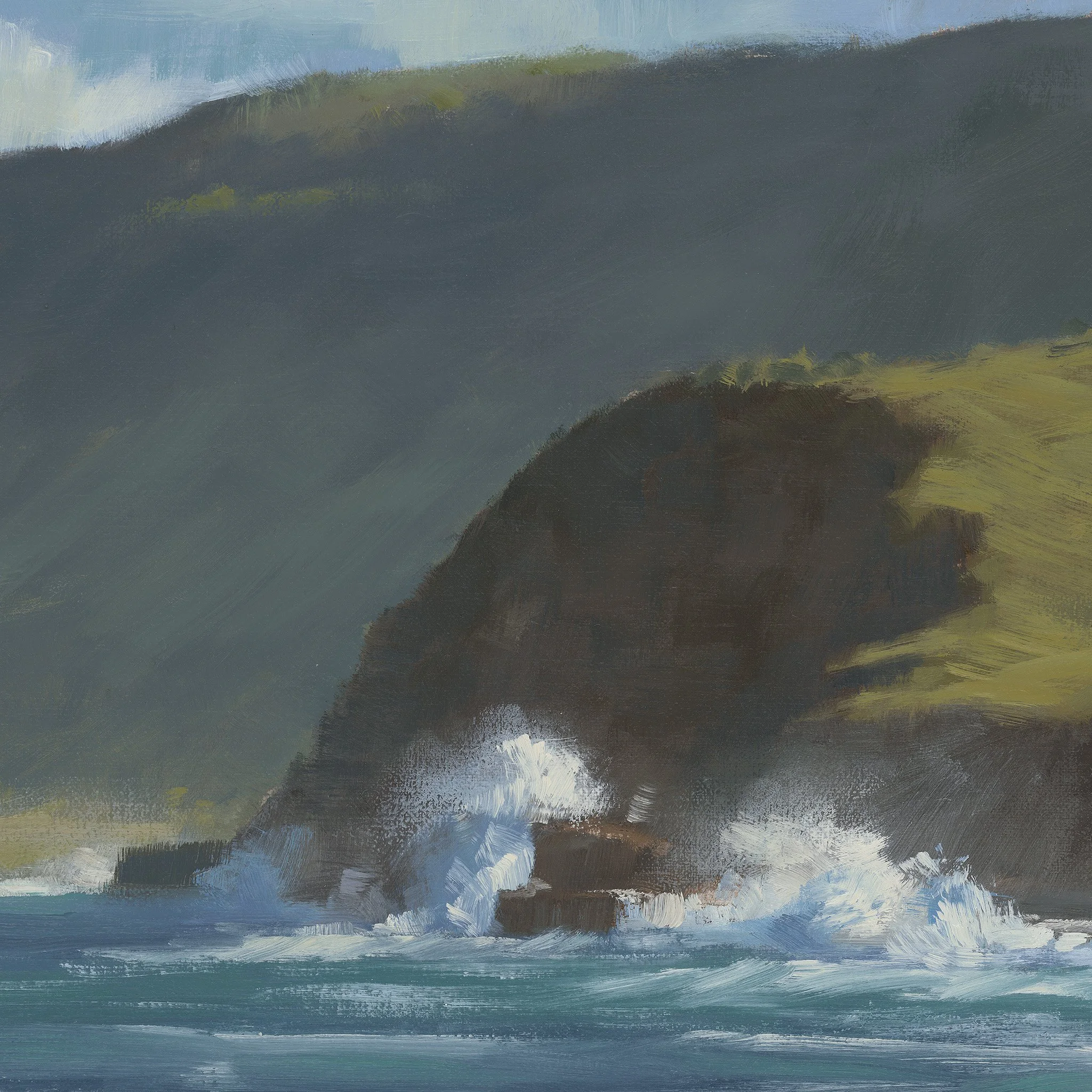 RNP_COAST_STH_detail_01.jpg