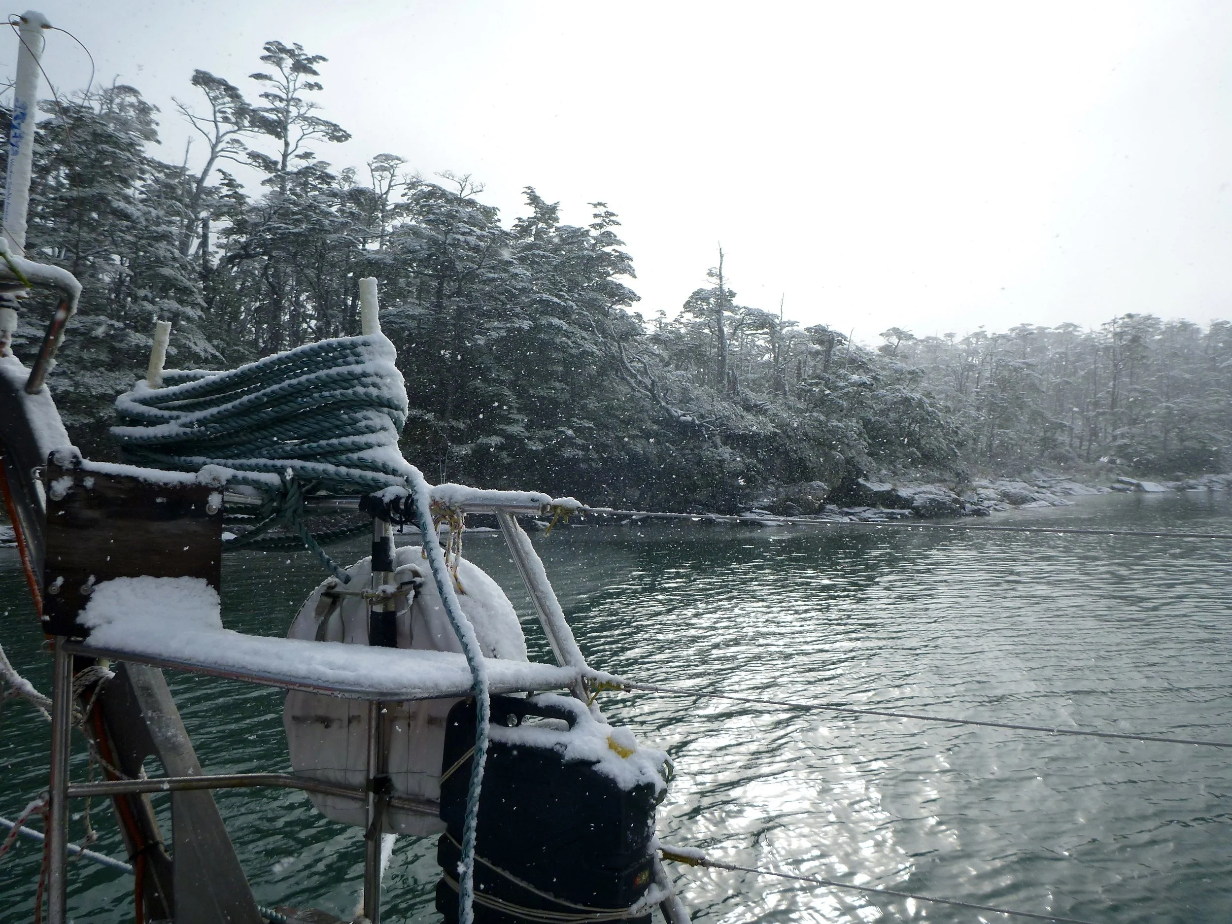P1010538 copy.jpg