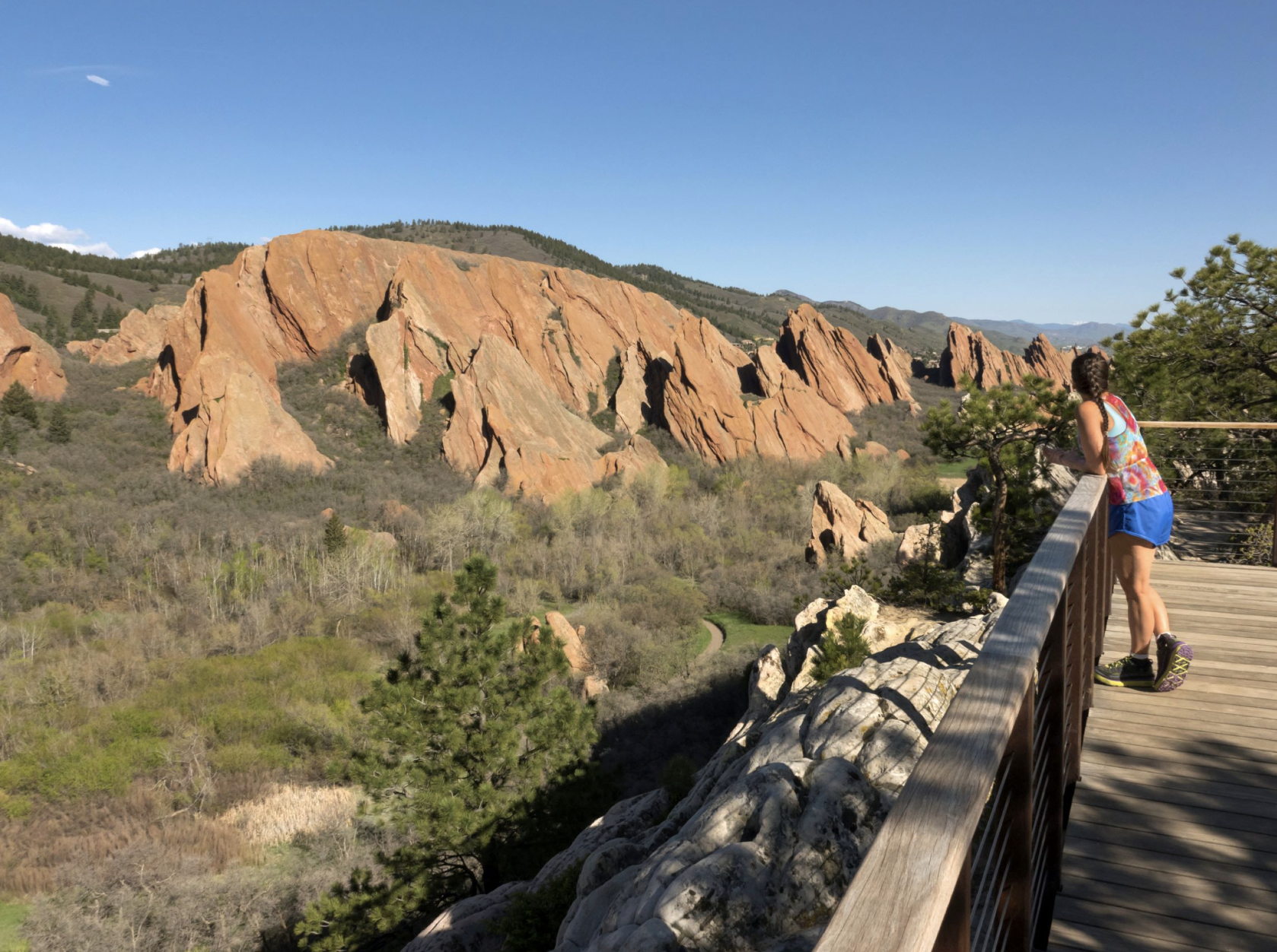 Screenshot 2024-08-15 at 11.40.01 AM.png