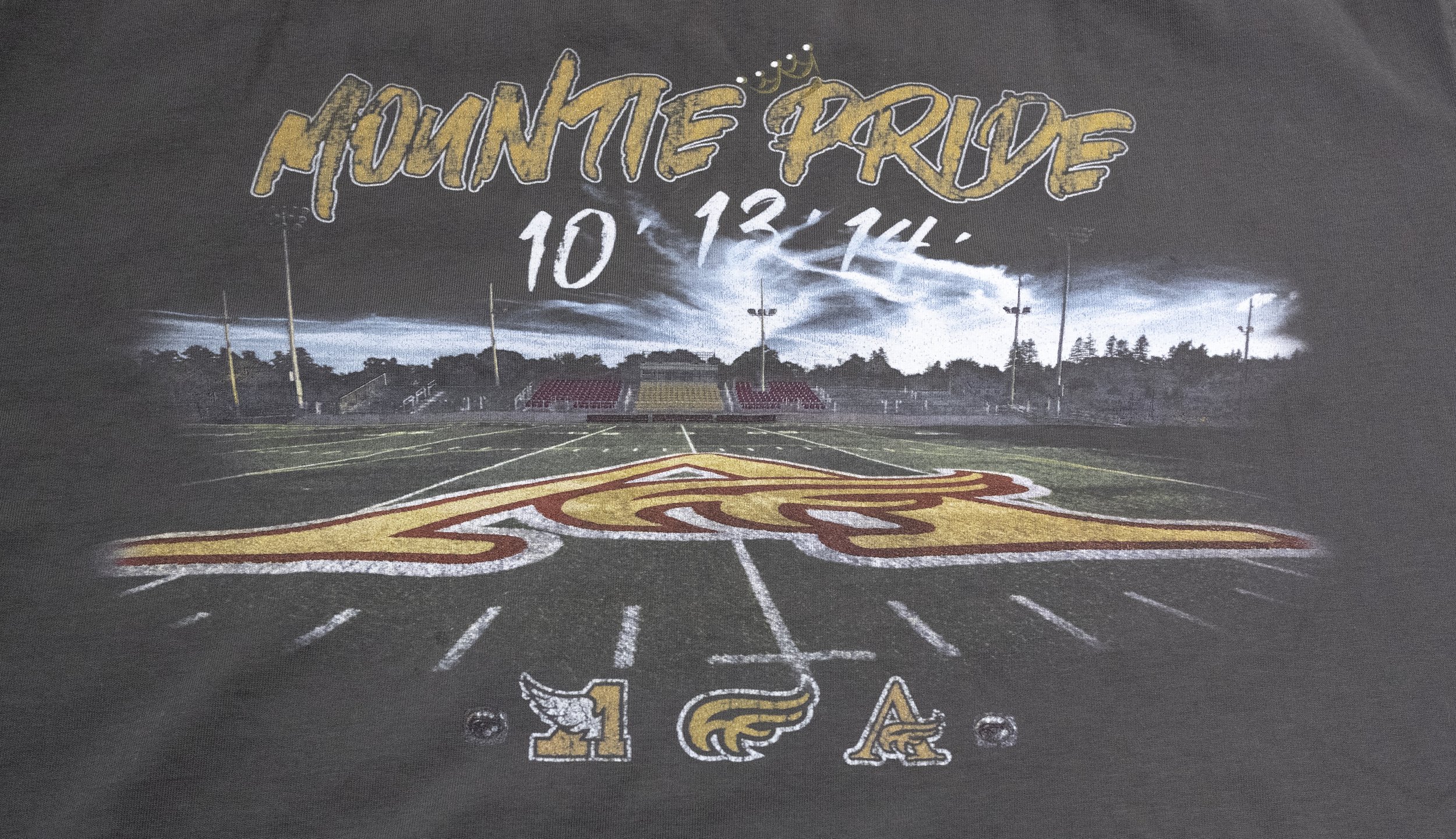 Reunion SHIRTS-3.jpg