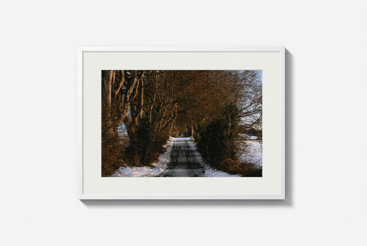 dark hedges white.png