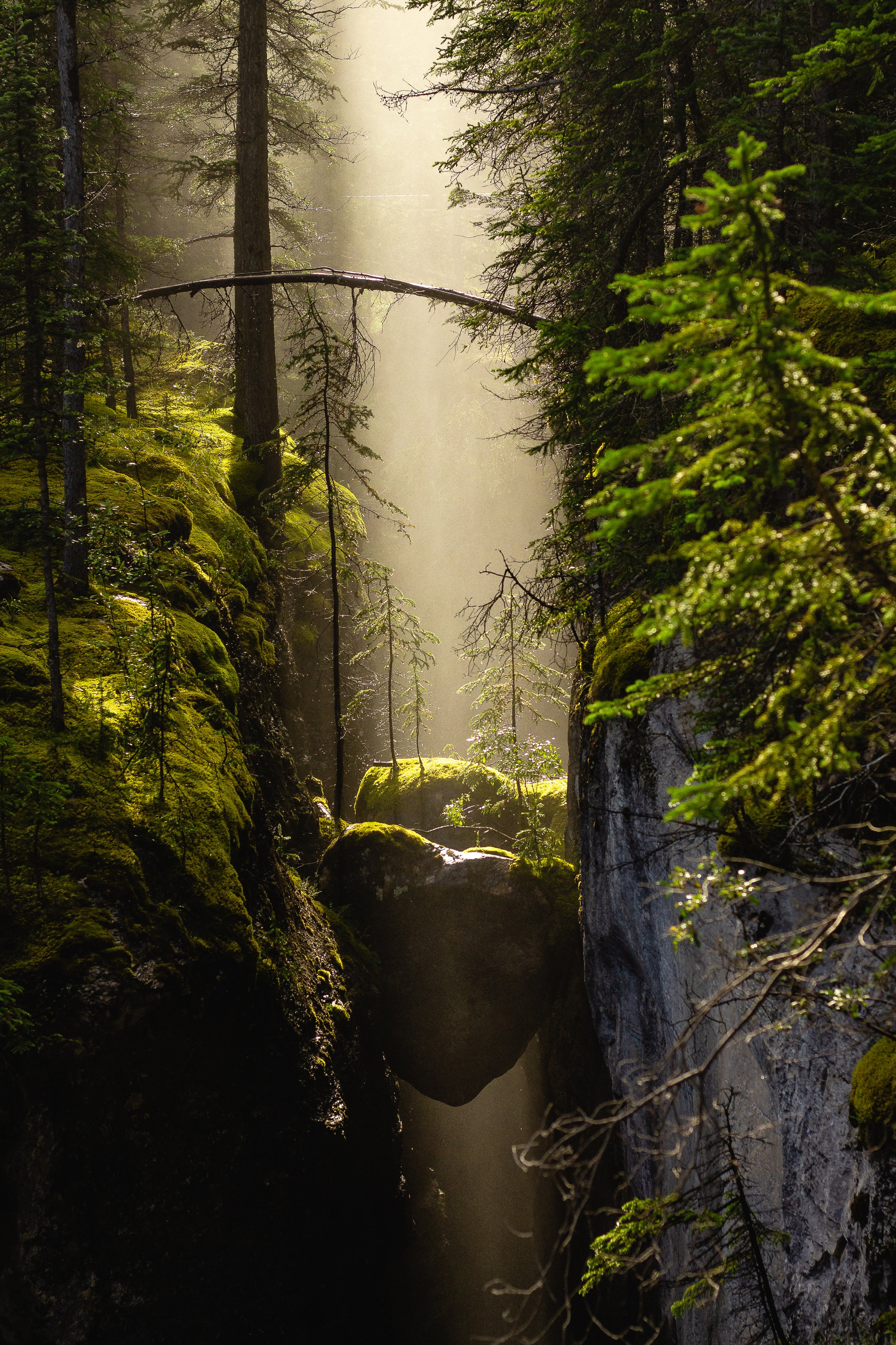 Lightroom 5 (1 of 1)-84.jpg