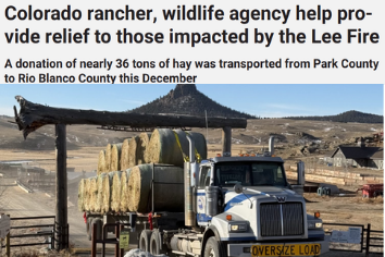 Steamboat Pilot &amp; Today