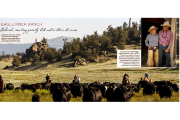 The Cattle Journal