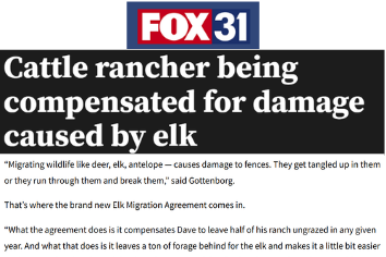 FOX31 (Denver)