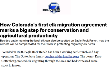 Denver 7 (ABC)