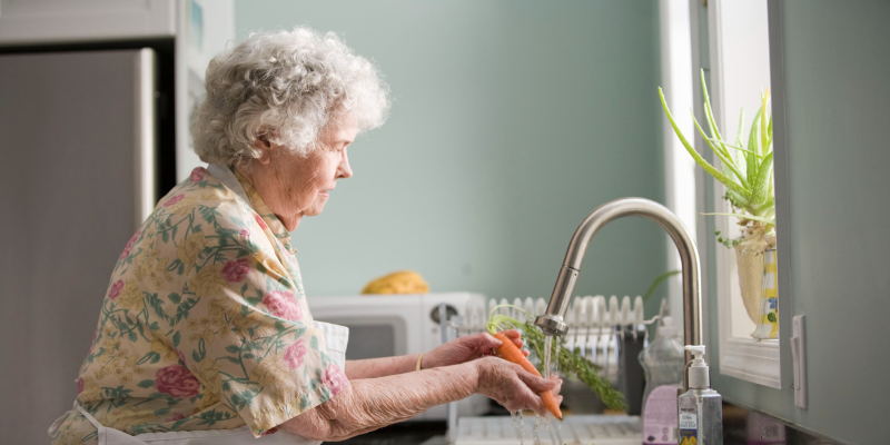 SNAP benefits for a retired person living alone