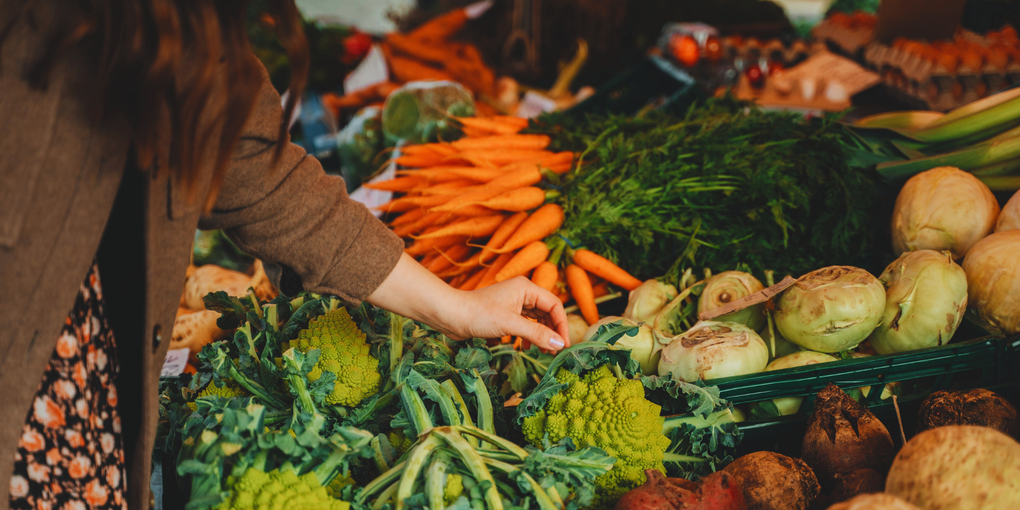 Resources for SNAP November Benefits Delay