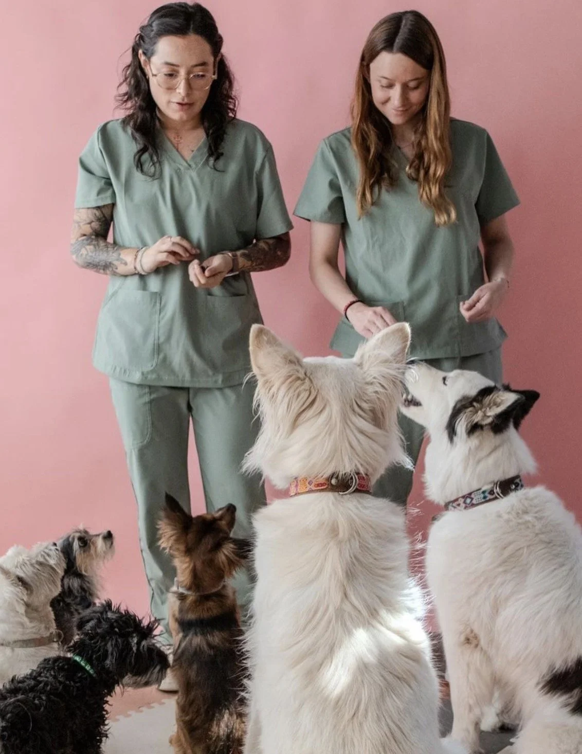 imagen 2024-08-21 at 6.52.06 p.m..jpg