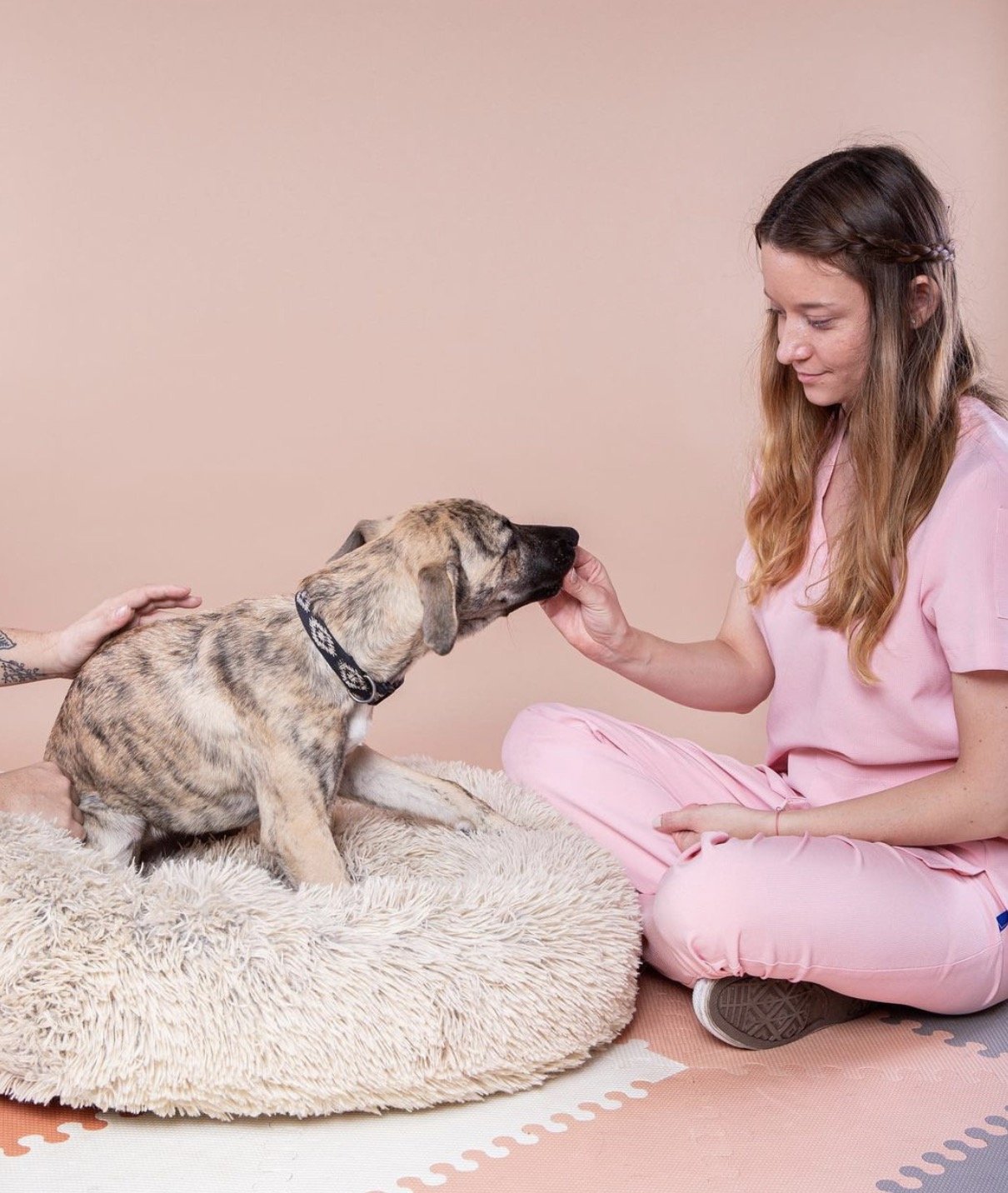 imagen 2024-08-21 at 6.52.27 p.m..jpg