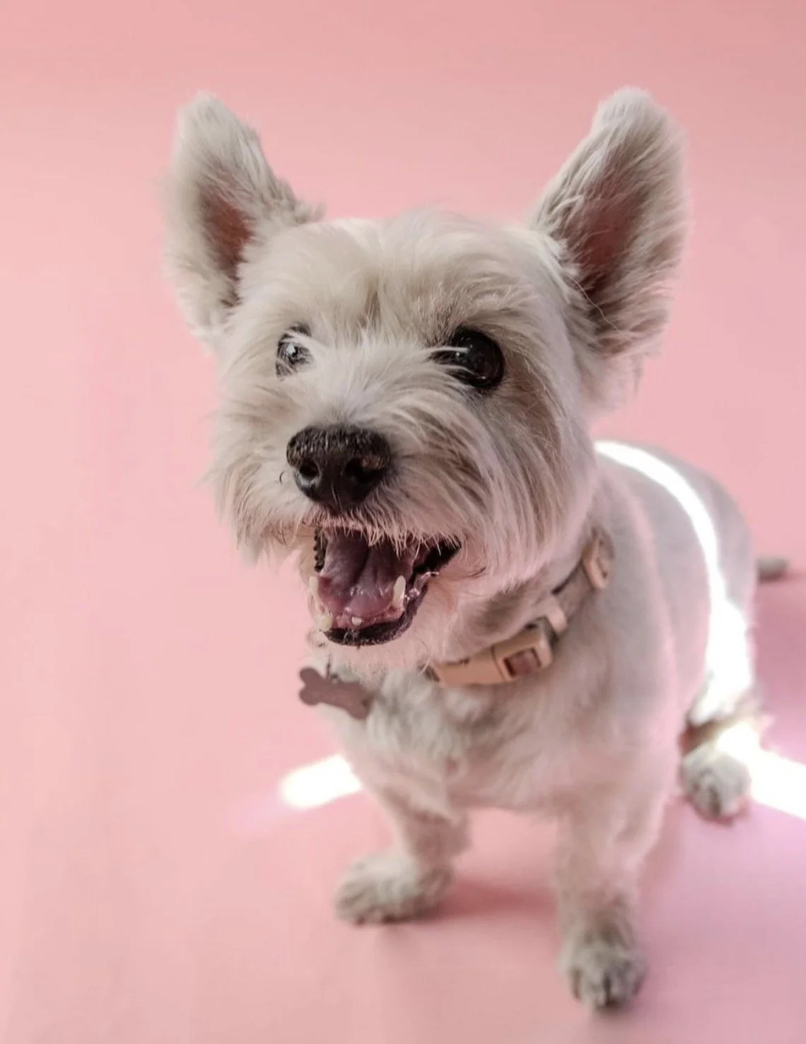 imagen 2024-08-21 at 6.51.25 p.m..jpg