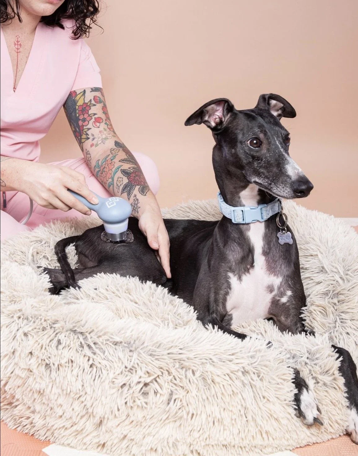 imagen 2024-08-21 at 6.50.31 p.m..jpg