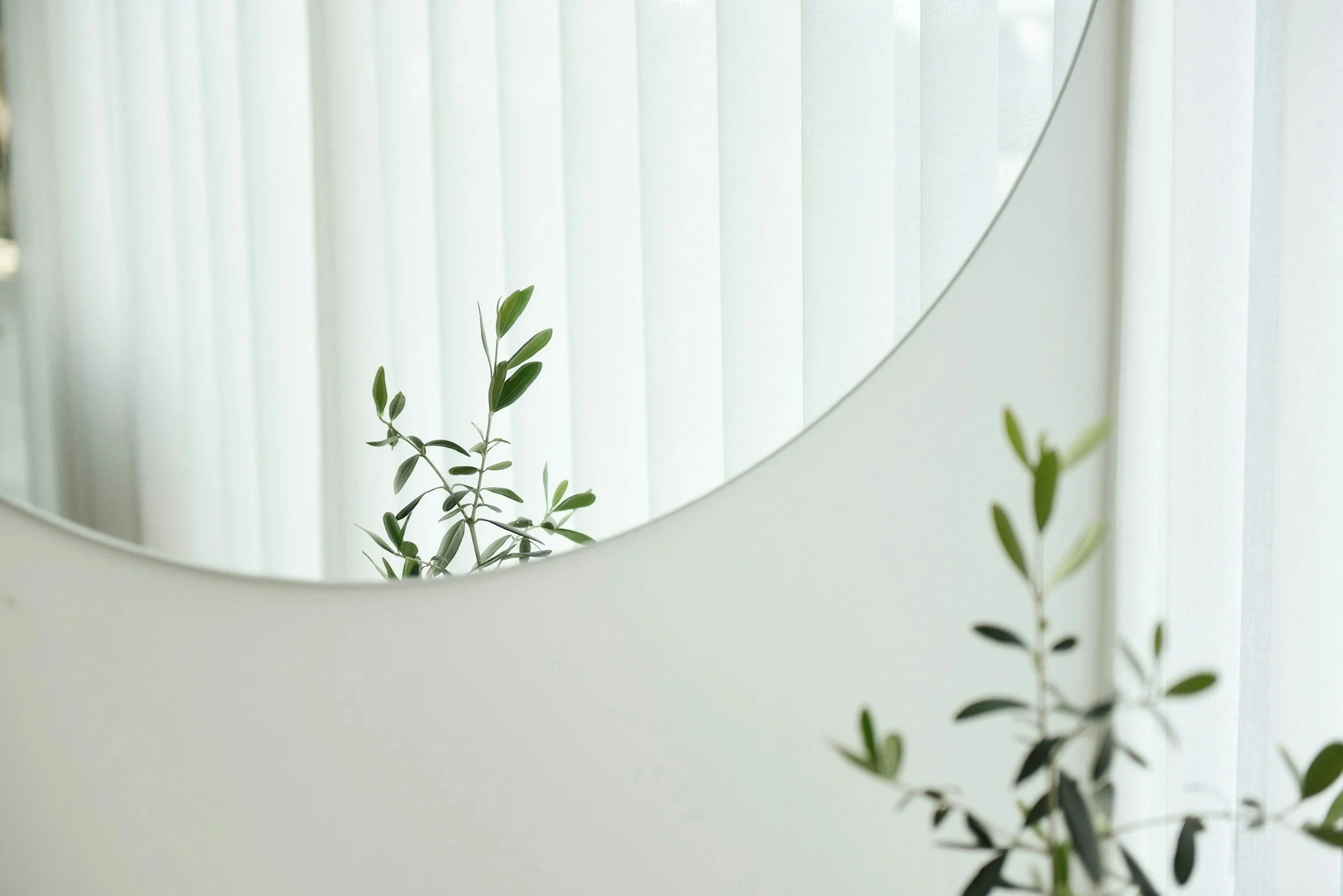 A round mirror reflecting a light-colored curtain and a small green plant with elongated leaves.