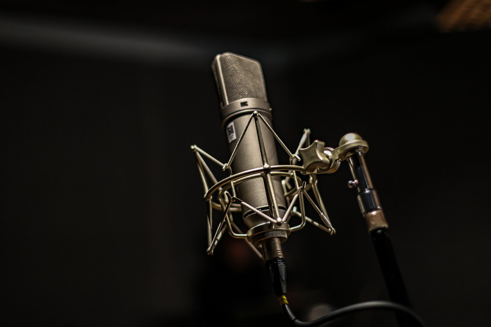 Hit Prouctions Mic Locker with Diverse, Industry-Standard Collection | Hit Productions