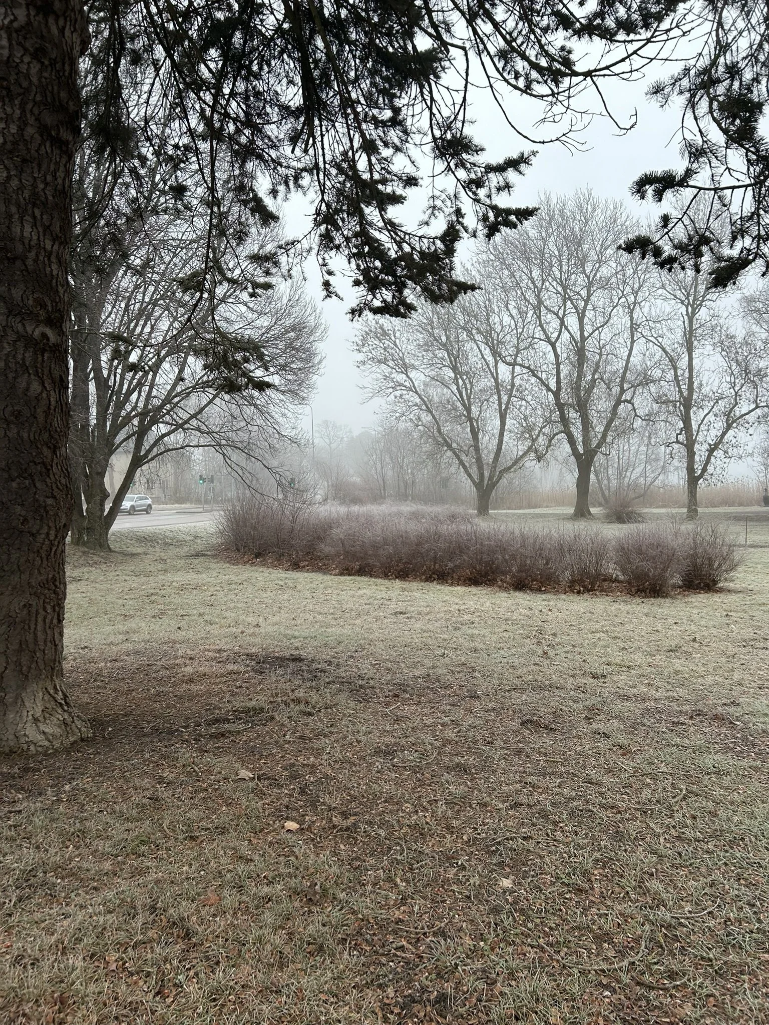 Neglingeparken / ateljé trakt